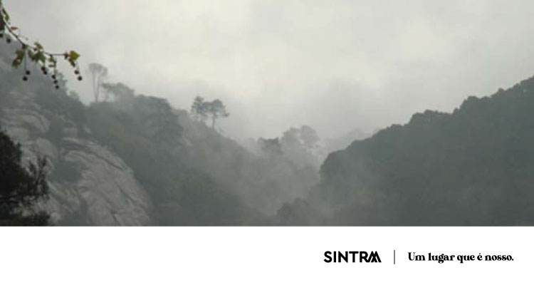 AVISO | Perímetro Florestal da Serra de Sintra encerrado devido às condições meteorológicas